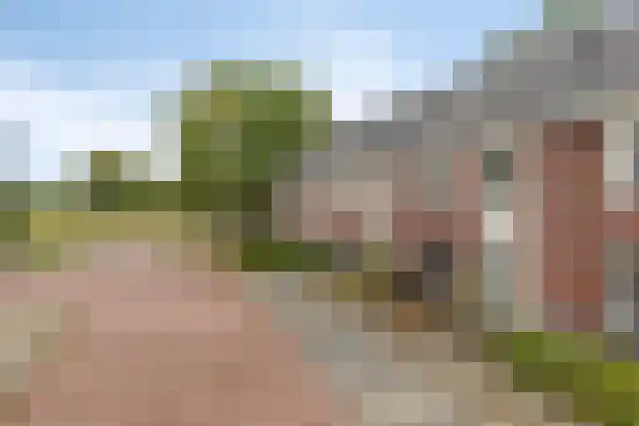 Het Oldehof 5 Appelscha thumbnail 6