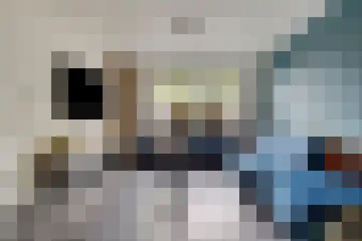 Het Oldehof 5 Appelscha thumbnail 8