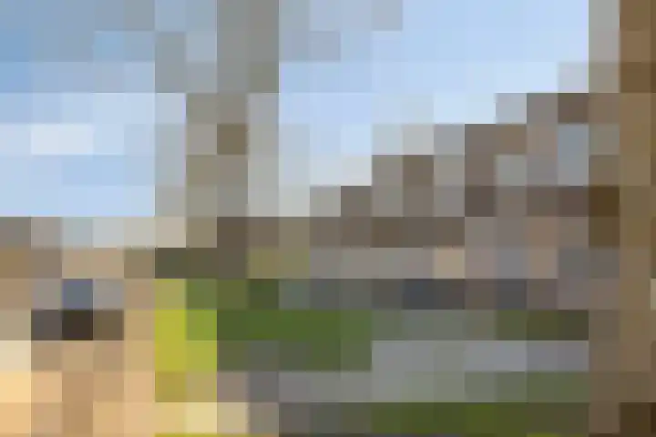 Het Oosterveld 80 Enschede thumbnail 6