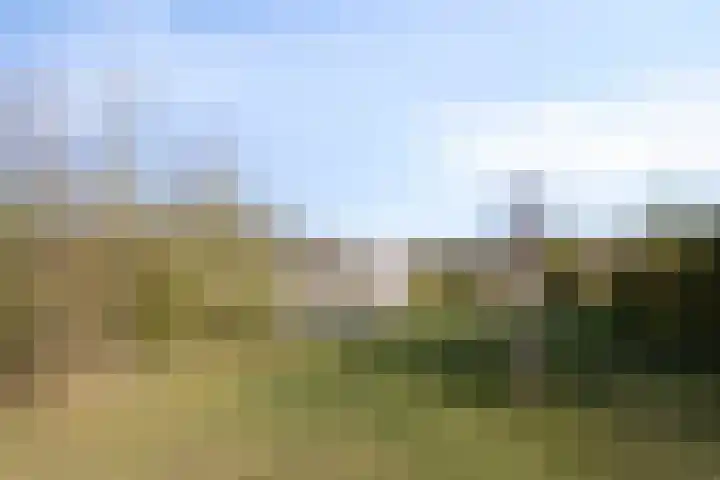 Het Oosterveld 80 Enschede thumbnail 8