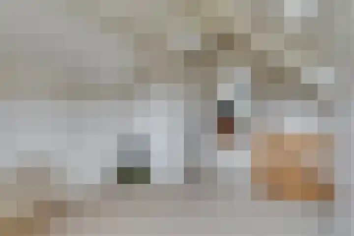 Het Otman 2 Denekamp thumbnail 31