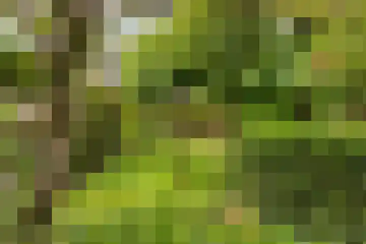 Het Otman 2 Denekamp thumbnail 38