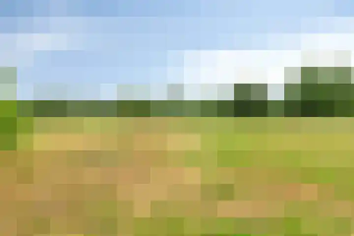 Het Otman 2 Denekamp thumbnail 44
