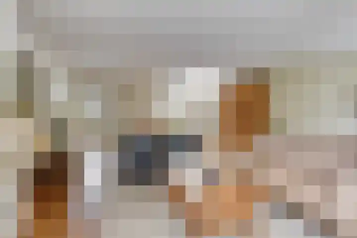 Het Otman 2 Denekamp thumbnail 9
