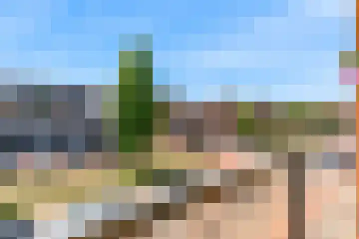 Het Palet 6 Limmen thumbnail 20