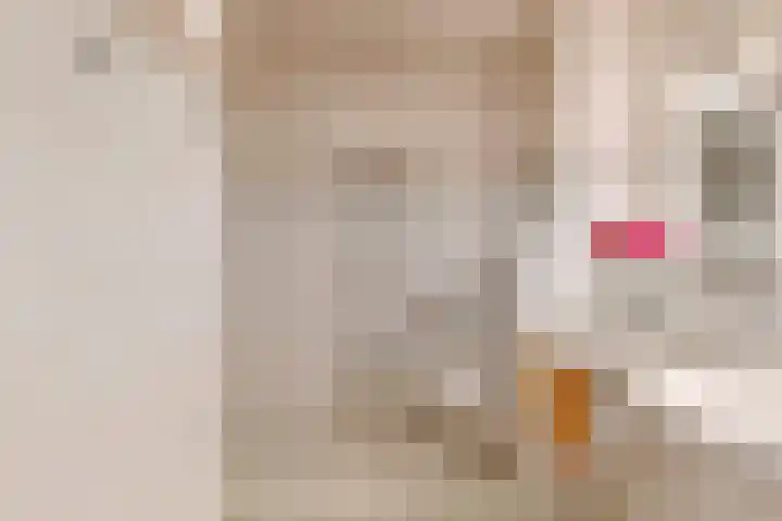 Het Palet 6 Limmen thumbnail 25