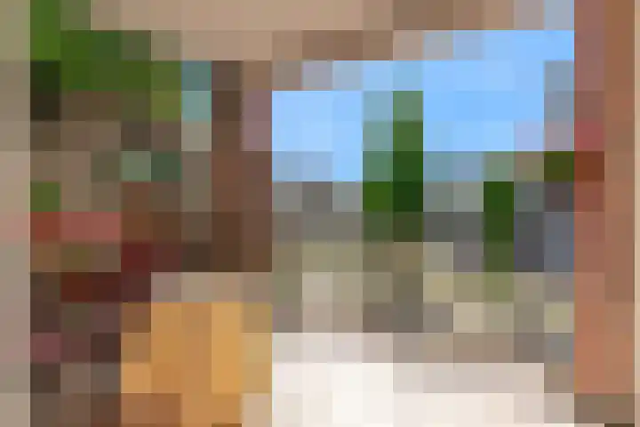 Het Palet 6 Limmen foto 3