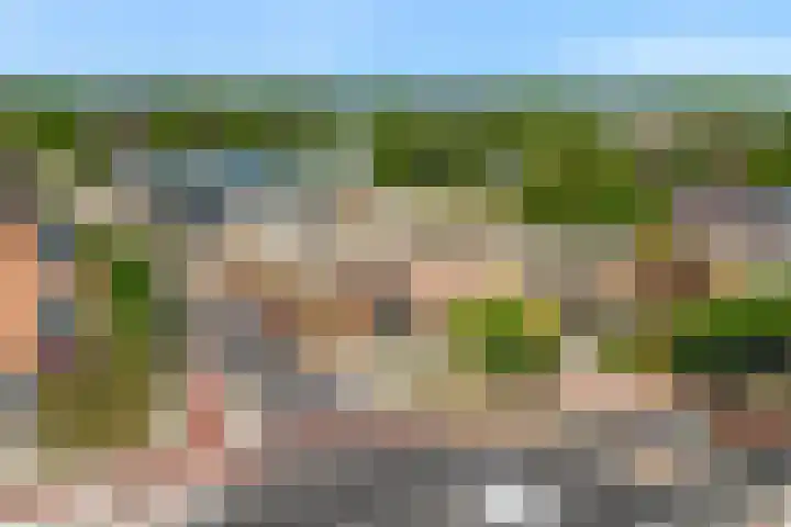 Het Palet 6 Limmen thumbnail 38