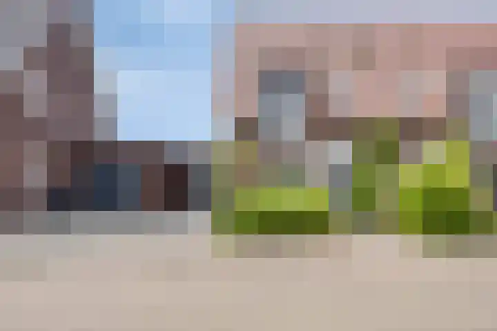 Het paradijs 12 in Haren