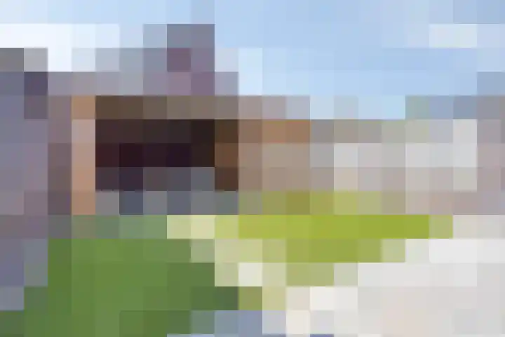 Het paradijs 24 Haren thumbnail 33