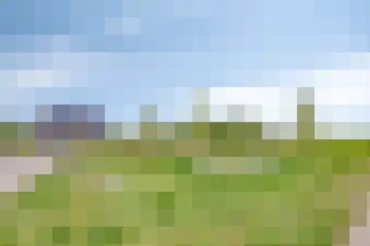 Het paradijs 24 Haren thumbnail 40
