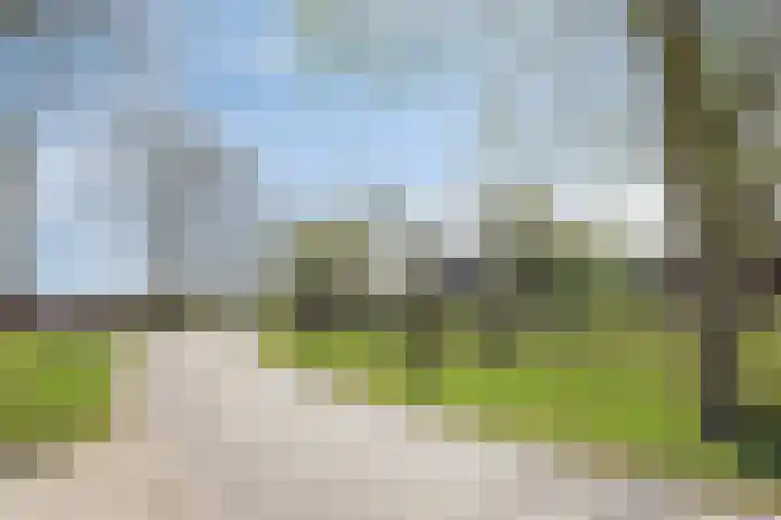 Het paradijs 24 Haren thumbnail 41
