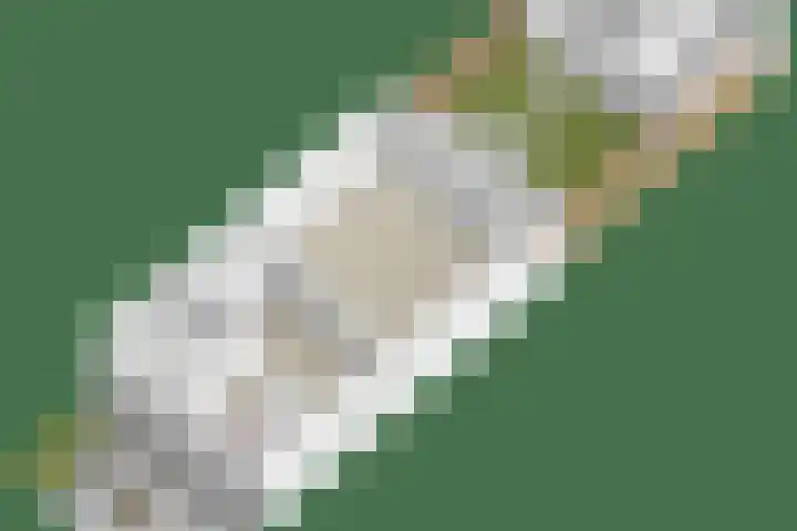 Het paradijs 24 Haren thumbnail 43