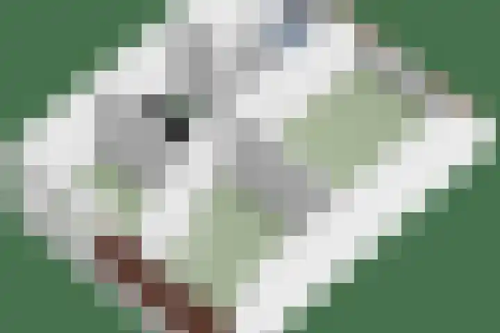Het paradijs 24 Haren thumbnail 47