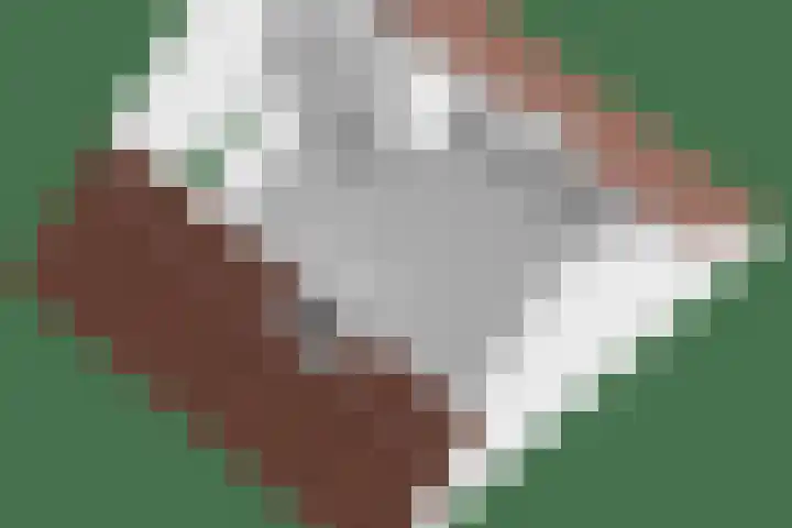 Het paradijs 24 Haren thumbnail 49