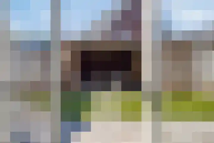 Het paradijs 24 Haren thumbnail 5