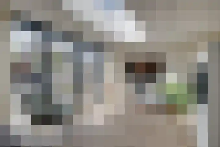 Het Patronaat 21 Borculo thumbnail 4