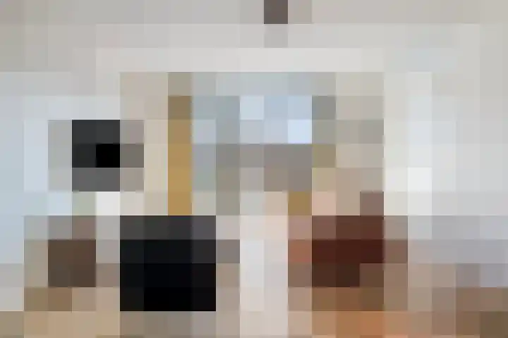 Het Penseel 50 Dronten thumbnail 10