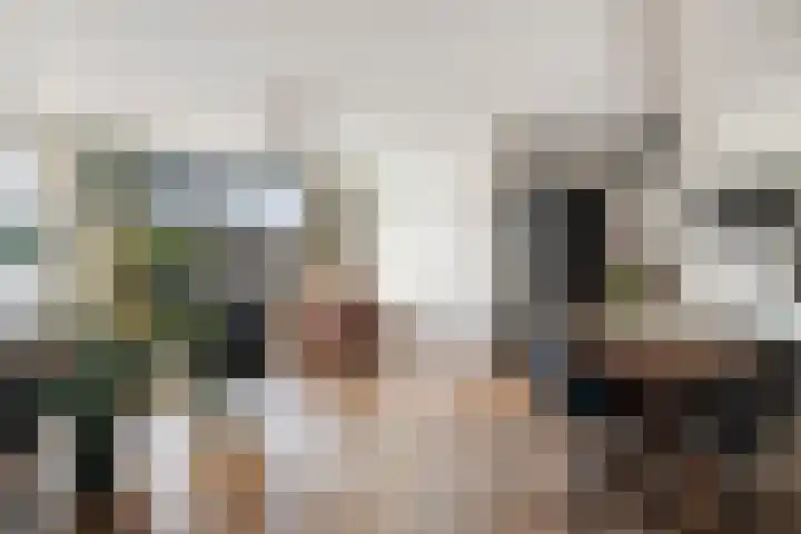 Het Penseel 50 Dronten thumbnail 13
