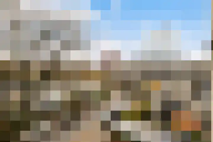 Het Penseel 50 Dronten thumbnail 16