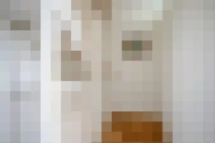 Het Penseel 50 Dronten thumbnail 18