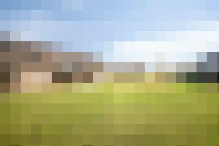 Het Penseel 50 Dronten thumbnail 33