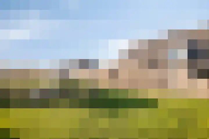Het Penseel 50 Dronten thumbnail 35