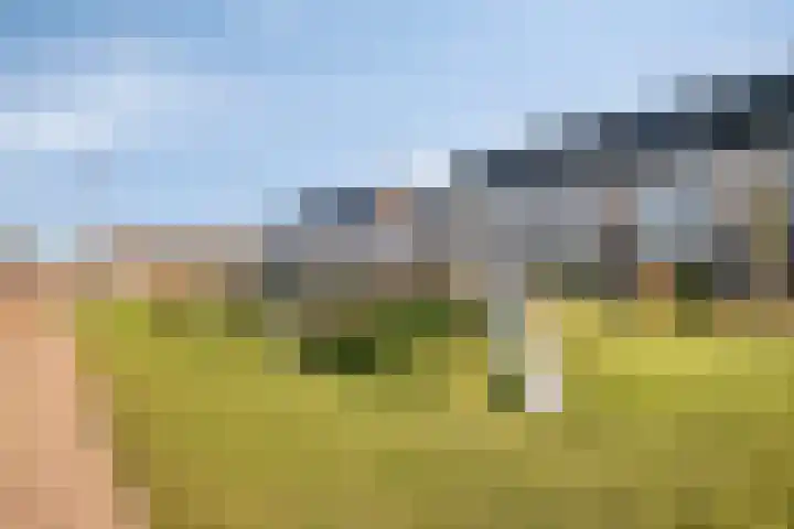 Het Penseel 50 Dronten thumbnail 36