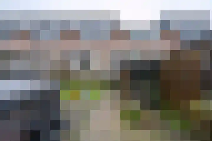 Het Penseel 50 Dronten thumbnail 37