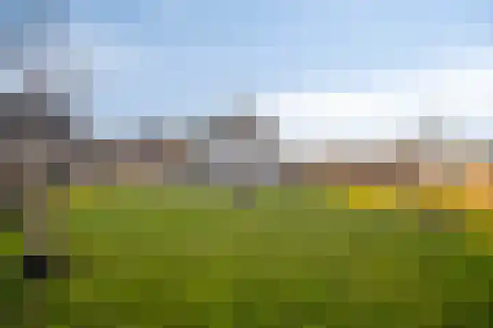 Het Penseel 50 Dronten thumbnail 38