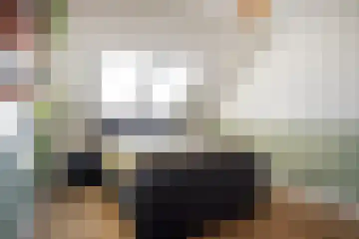 Het Penseel 50 Dronten thumbnail 4