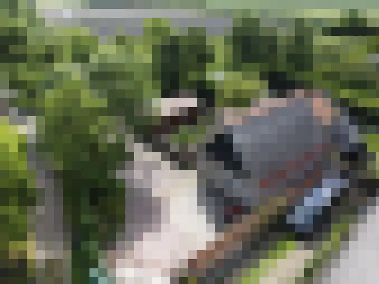 Het Penseel 50 Dronten thumbnail 5