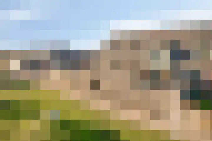 Het Penseel 50 Dronten thumbnail 5