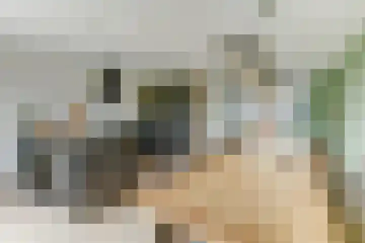 Het Penseel 7 Dronten thumbnail 11