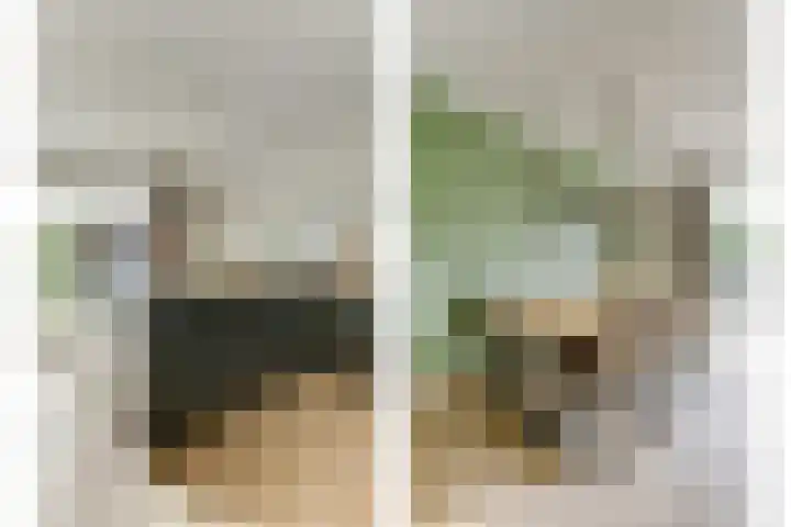 Het Penseel 7 Dronten thumbnail 12