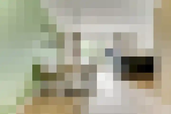 Het Penseel 7 Dronten thumbnail 13