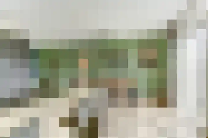 Het Penseel 7 Dronten thumbnail 15