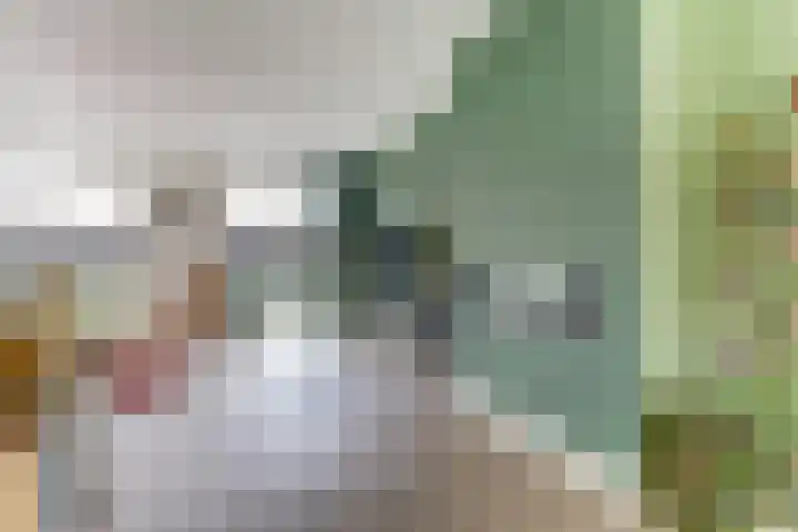 Het Penseel 7 Dronten thumbnail 16