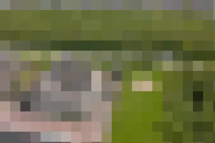 Het Penseel 7 Dronten foto 2