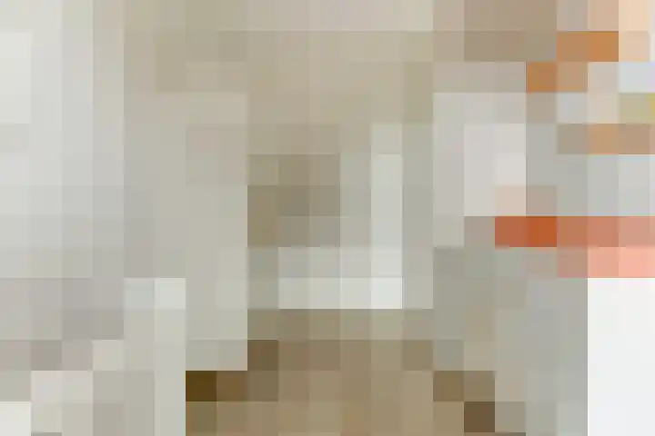 Het Penseel 7 Dronten thumbnail 22