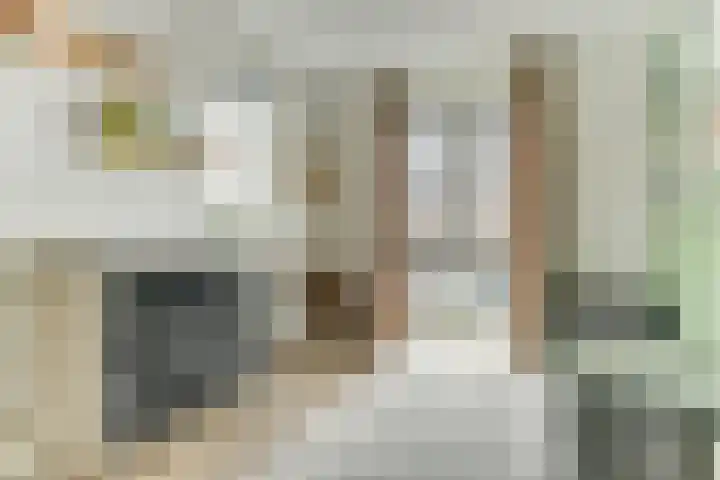 Het Penseel 7 Dronten thumbnail 23