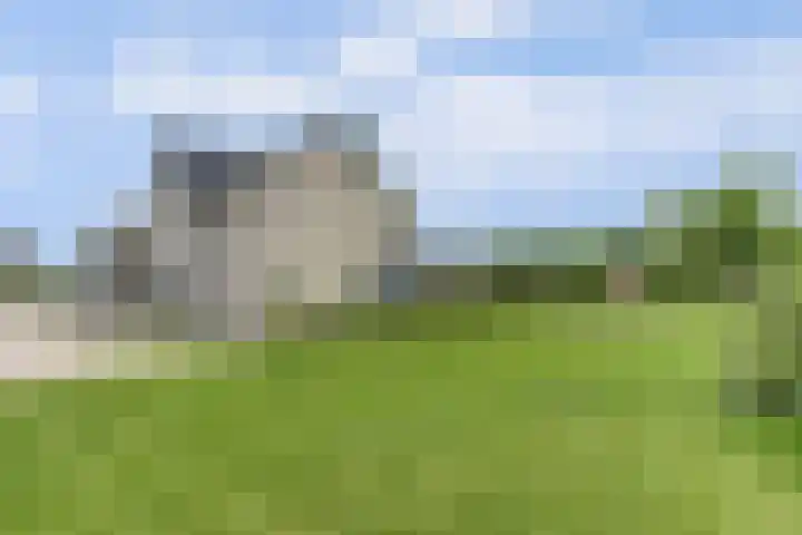 Het Penseel 7 Dronten foto 3