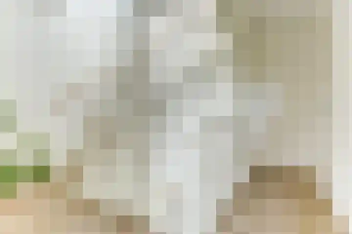 Het Penseel 7 Dronten thumbnail 31