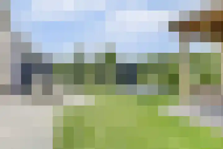 Het Penseel 7 Dronten thumbnail 34