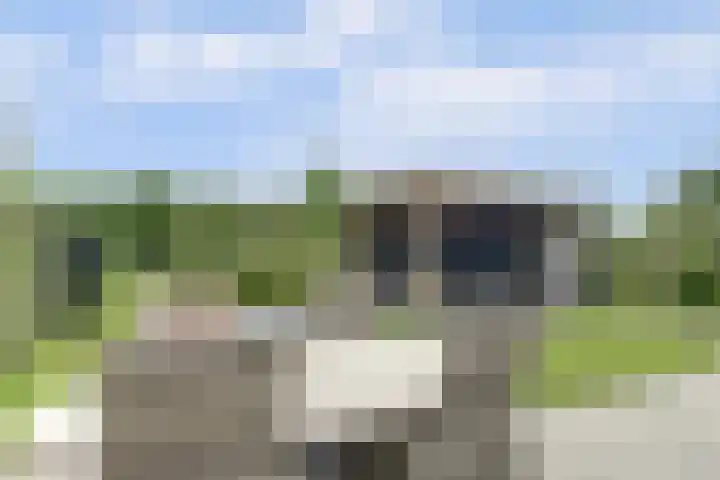 Het Penseel 7 Dronten thumbnail 35
