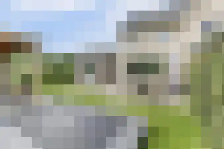 Het Penseel 7 Dronten thumbnail 36