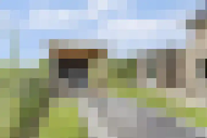 Het Penseel 7 Dronten thumbnail 38