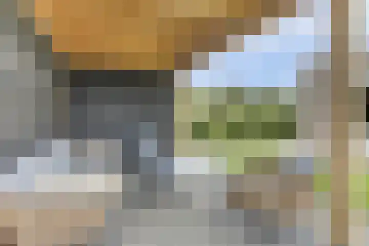 Het Penseel 7 Dronten thumbnail 39