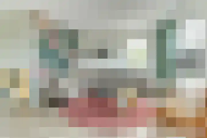 Het Penseel 7 Dronten thumbnail 4