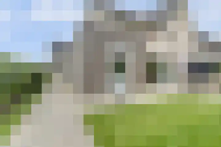 Het Penseel 7 Dronten thumbnail 40